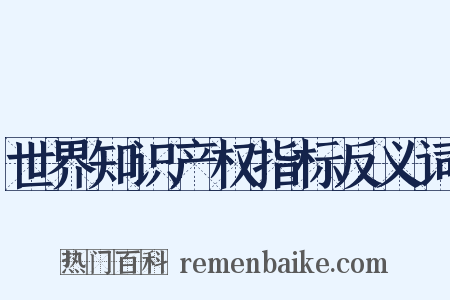 世界知识产权指标反义词是什么意思的图片